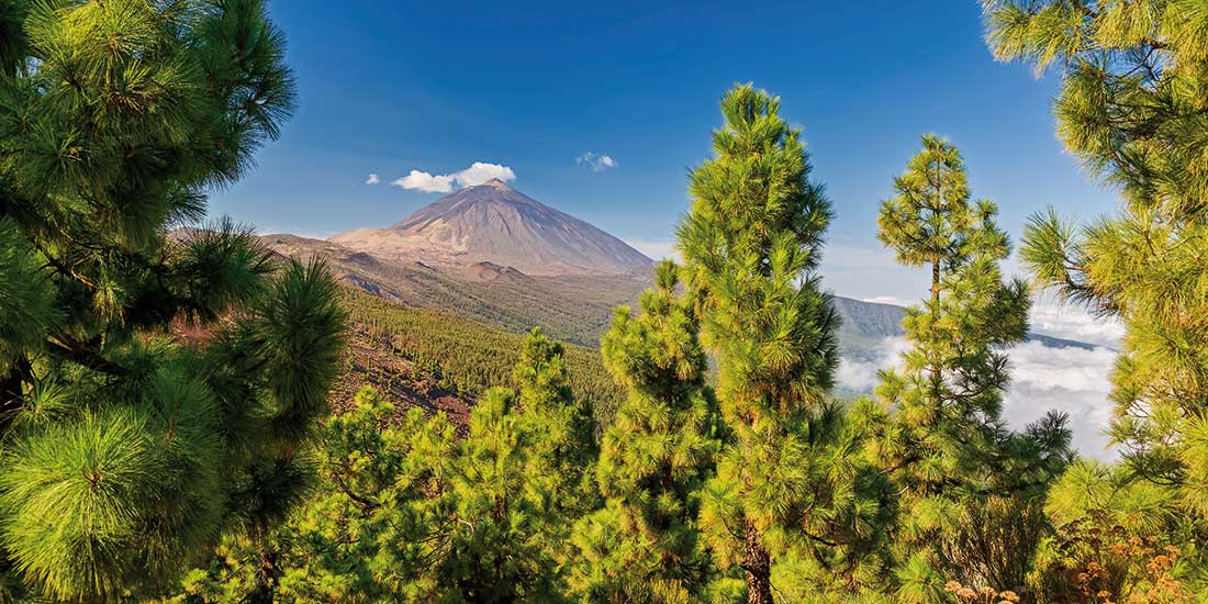 Tenerife’s Mount Teide